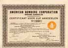 American Bemberg Corp.